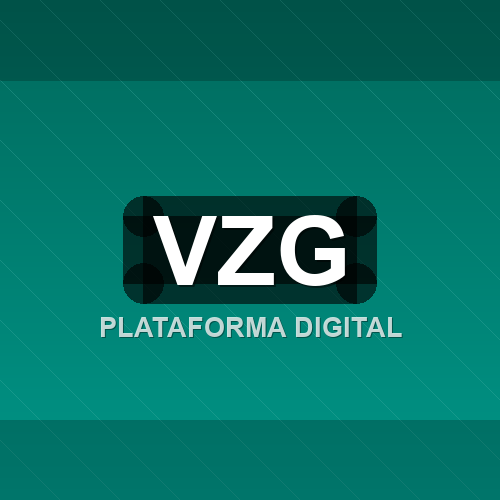 vzg logo