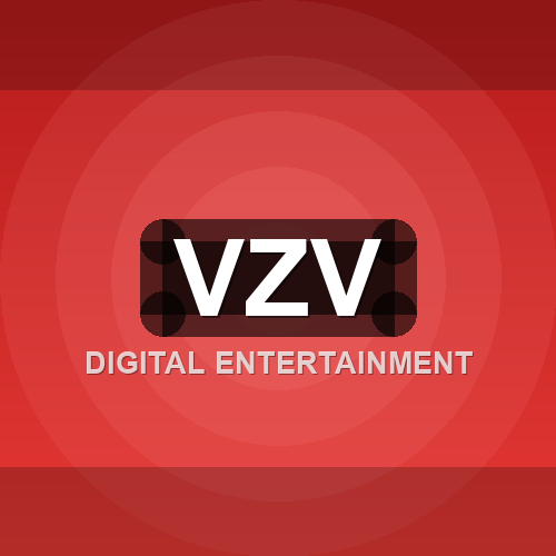 vzv logo