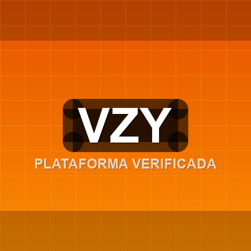 vzy logo