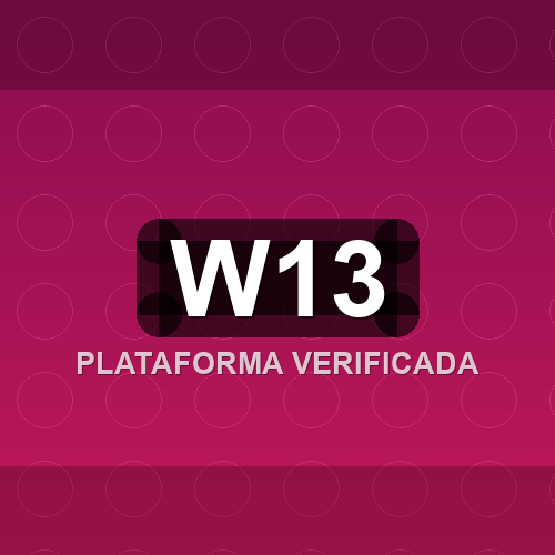w13 logo