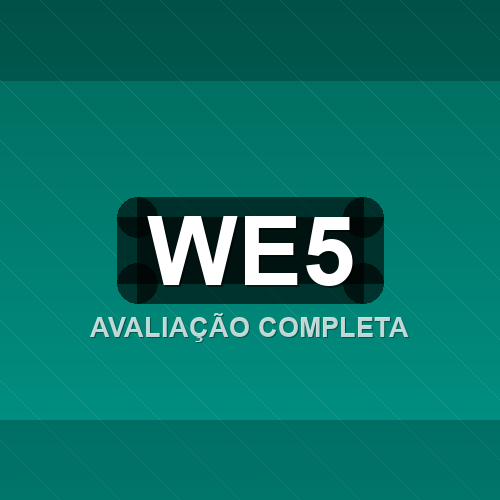 we5 logo