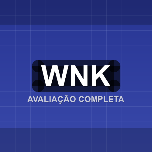 wnk logo