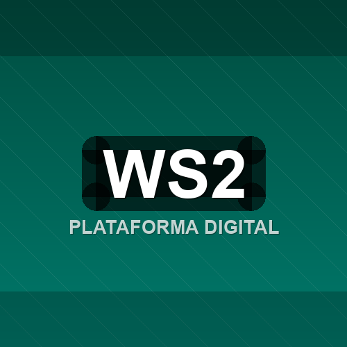 ws2 logo