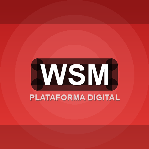 wsm logo