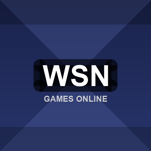 wsn logo