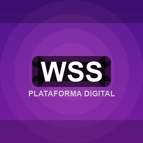 wss logo