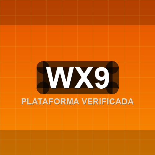 wx9 logo