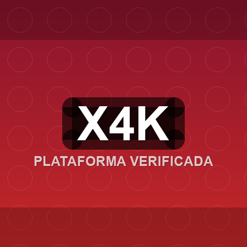 x4k logo