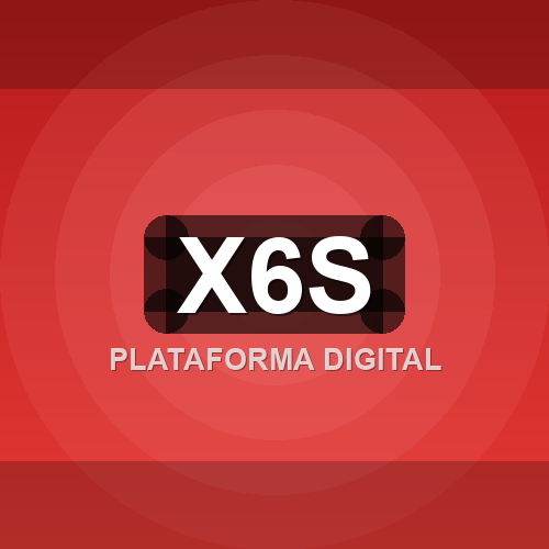 x6s logo