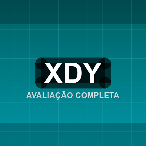 xdy logo