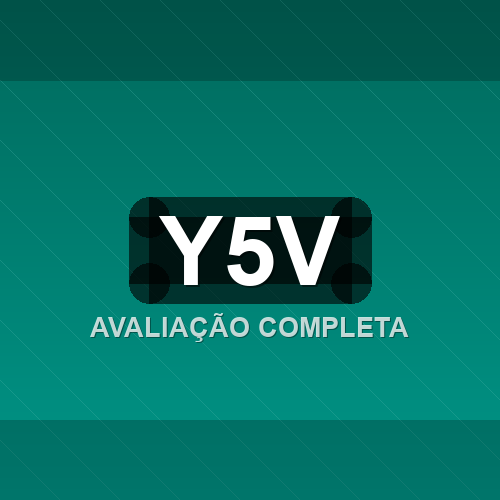 y5v logo