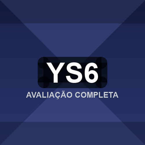 ys6 logo