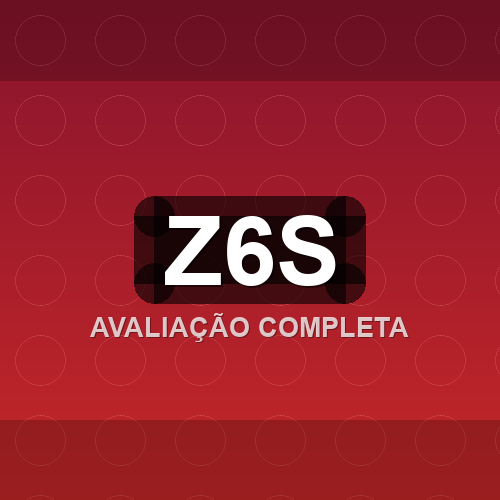 z6s logo