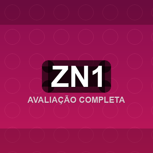 zn1 logo
