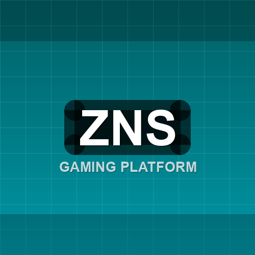 zns logo
