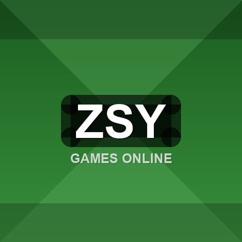 zsy logo