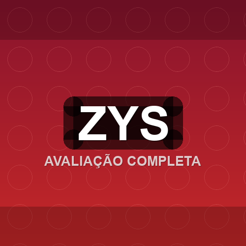 zys logo
